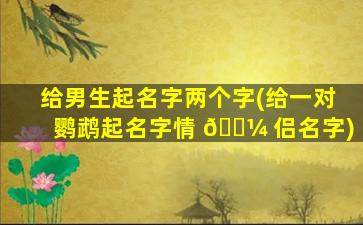 给男生起名字两个字(给一对鹦鹉起名字情 🐼 侣名字)